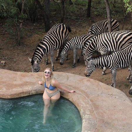 Kruger Park Hostel Marloth Park Exterior photo