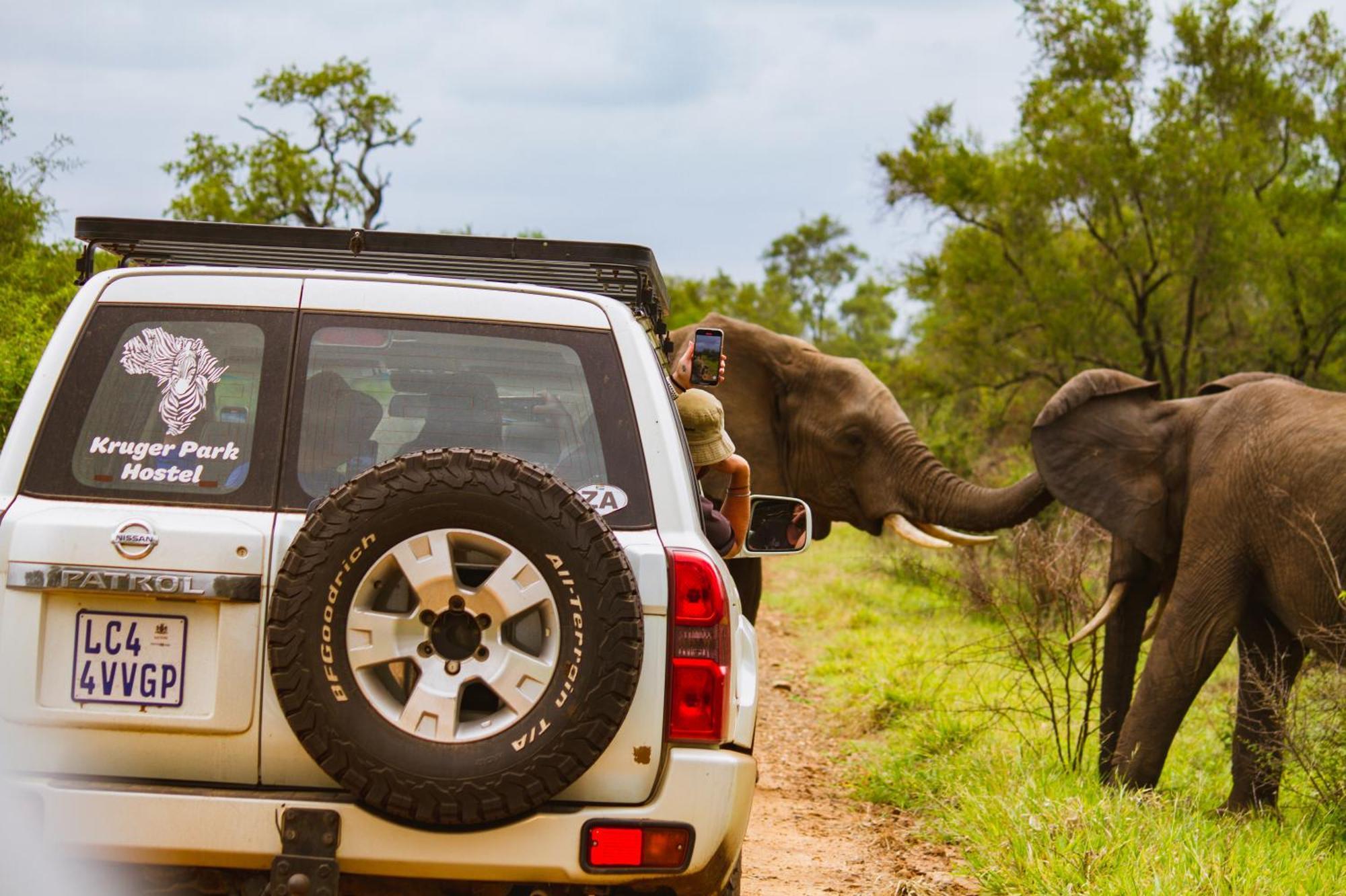 Kruger Park Hostel Marloth Park Exterior photo